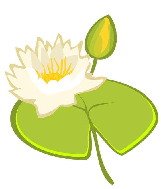 ED-Lily
